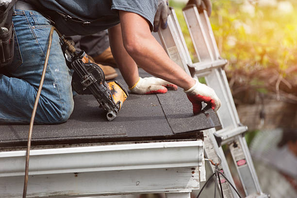 Best Roof Gutter Cleaning  in Gallitzin, PA